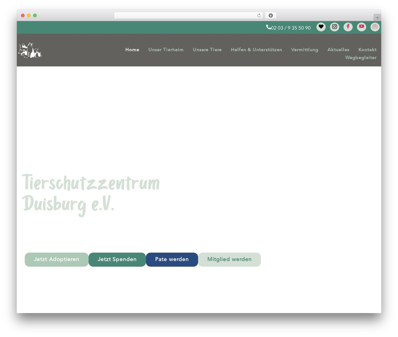 WordPress website theme Hello Elementor - tierheimduisburg.de WordPress website theme Hello Elementor - tierheimduisburg.de