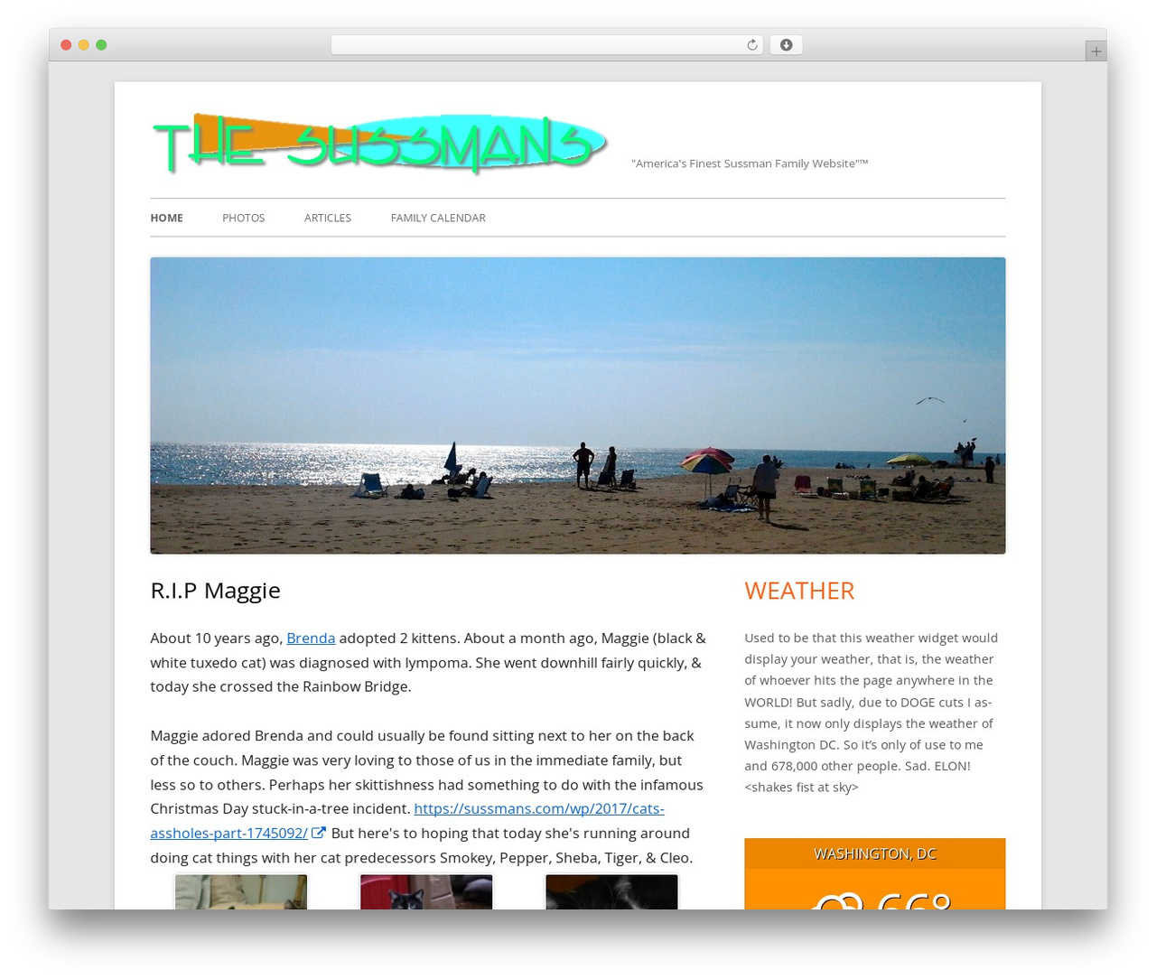 WP theme Tiny Framework - sussmans.com WP theme Tiny Framework - sussmans.com