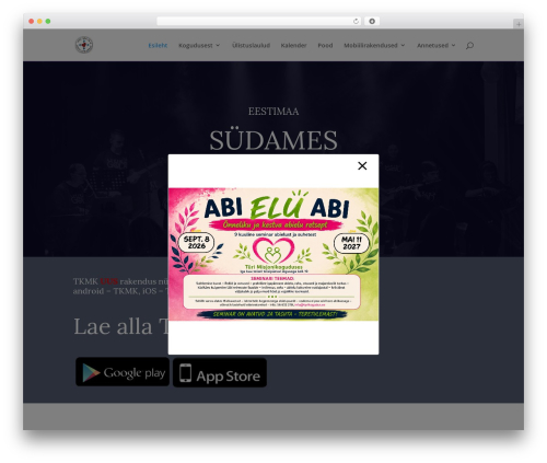Next image effect lite WordPress plugin - tyrikogudus.ee