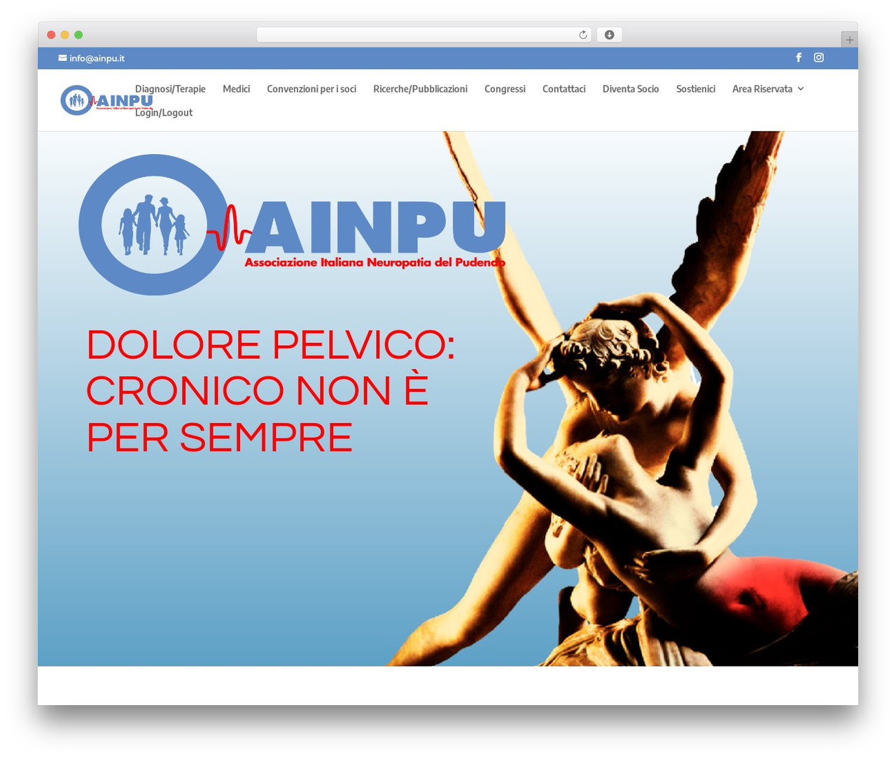 Divi WordPress theme - ainpu.it