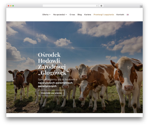 Hello Elementor theme WordPress - ohz-glogowek.pl