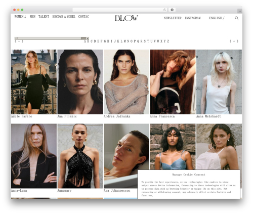 Laygridder WordPress plugin - blowmodels.com