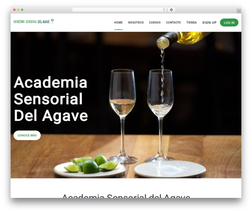 Masterstudy elementor widgets WordPress plugin - academiasensorialdelagave.org.mx