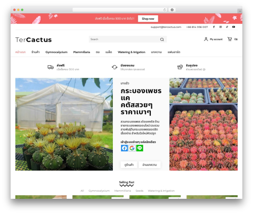 Td woo WordPress plugin - tercactus.com