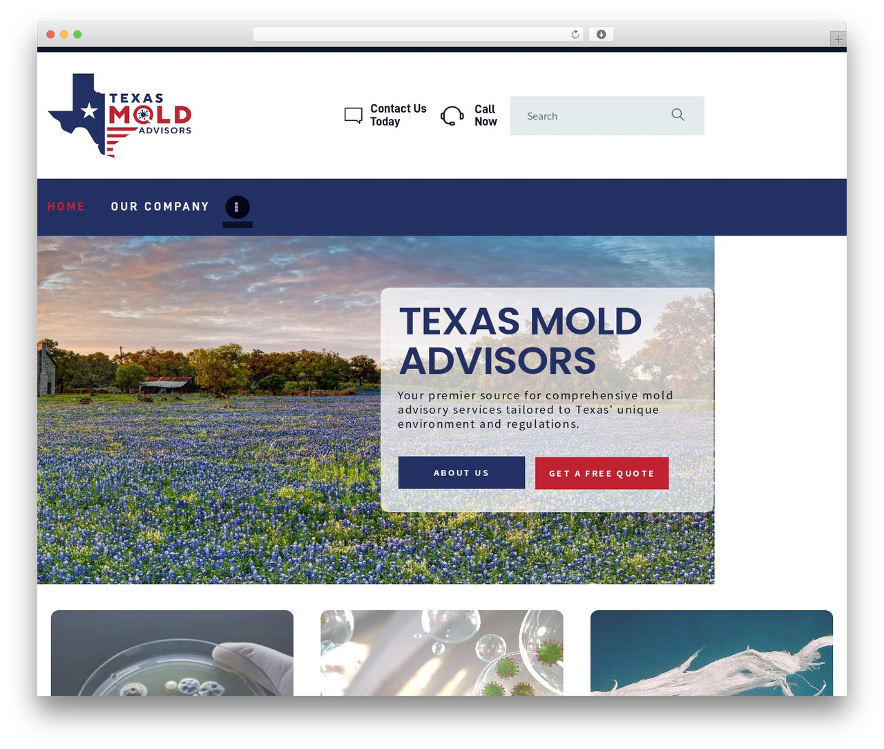 Bugster theme WordPress - texasmoldadvisors.com Bugster theme WordPress - texasmoldadvisors.com