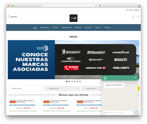 Flozen Theme theme WordPress - coadigexpress.cl