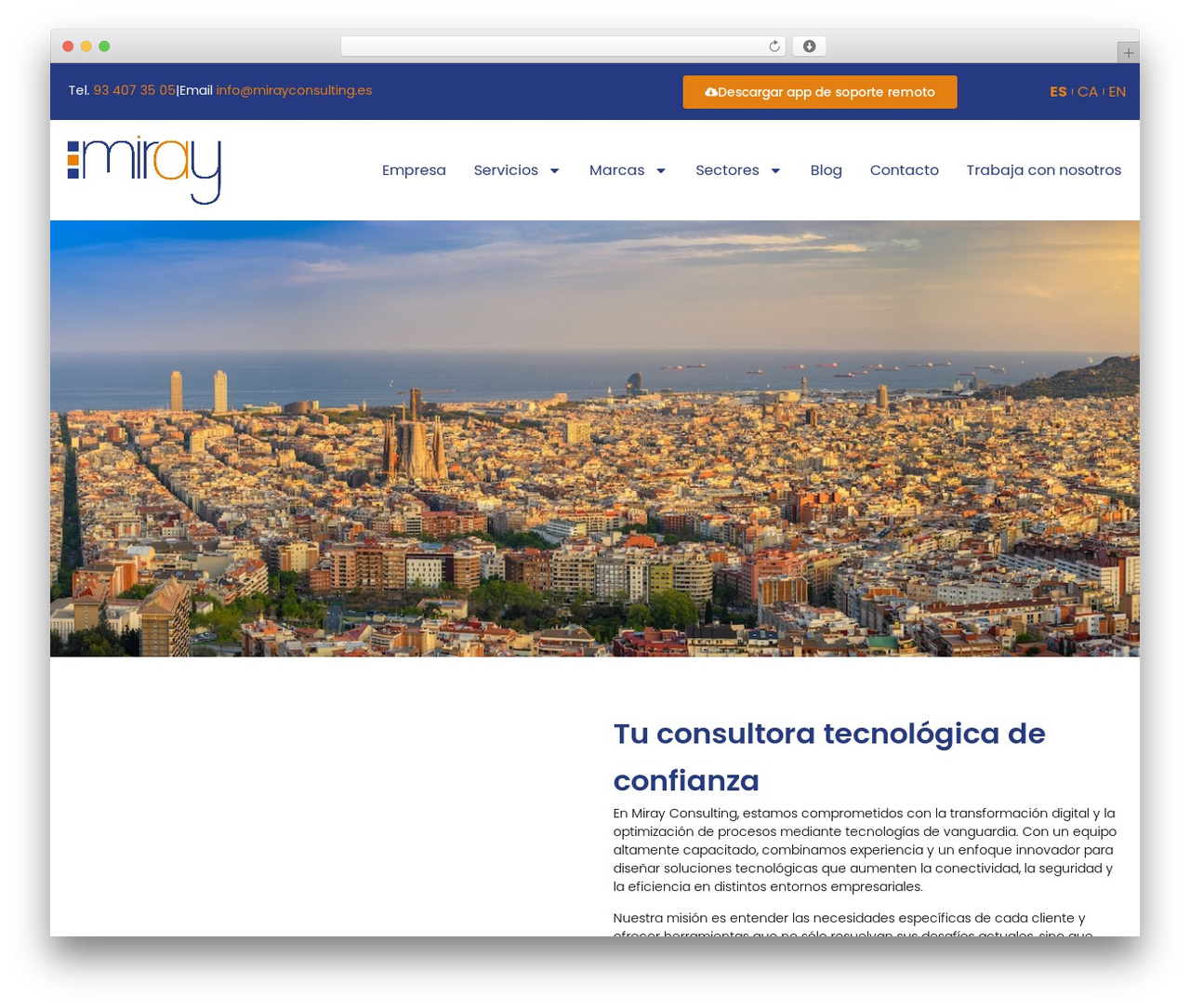 Hello Elementor Child theme WordPress - mirayconsulting.com Hello Elementor Child theme WordPress - mirayconsulting.com
