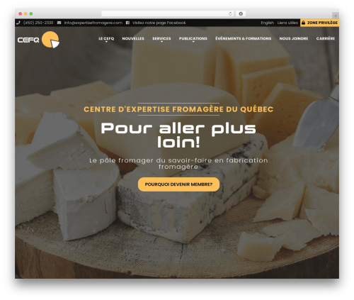 Réactif WordPress theme - expertisefromagere.com