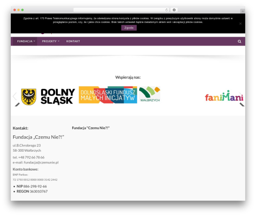 Accesspress Basic Pro WordPress theme - czemunie.pl