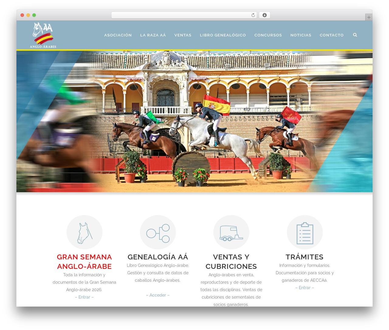 Bridge WordPress theme - angloarabe.net Bridge WordPress theme - angloarabe.net