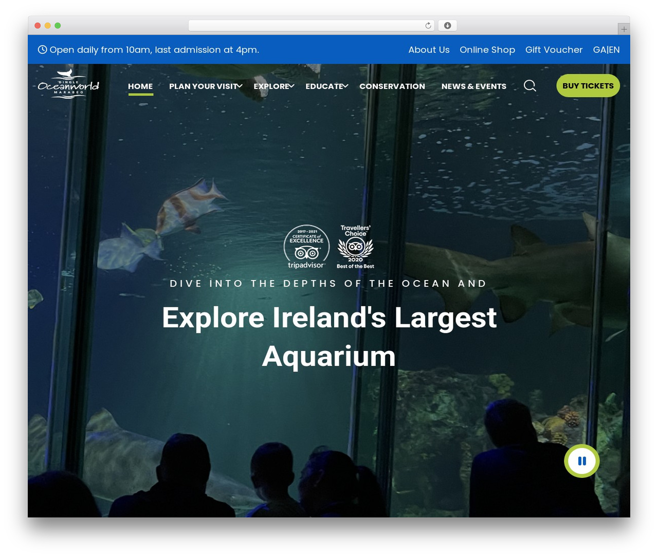 IMA Custom Theme WordPress theme - dingle-oceanworld.ie IMA Custom Theme WordPress theme - dingle-oceanworld.ie