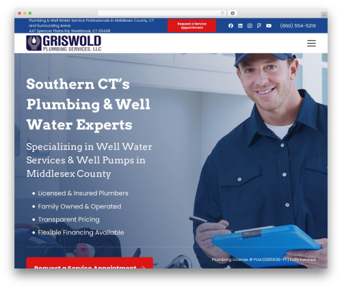 Wordpress plugin main WordPress plugin - griswoldplumbingct.com