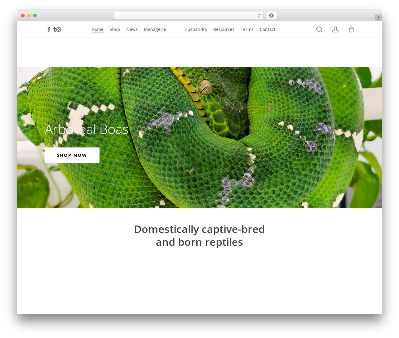 Salient WordPress theme - darrenhamillreptiles.com Salient WordPress theme - darrenhamillreptiles.com