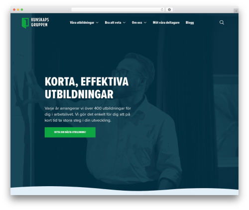 The Sceleton theme WordPress theme - kunskapsgruppen.se
