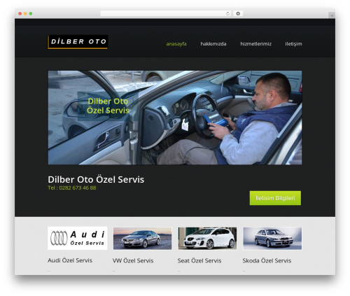 theme1404 WordPress theme - dilberoto.com