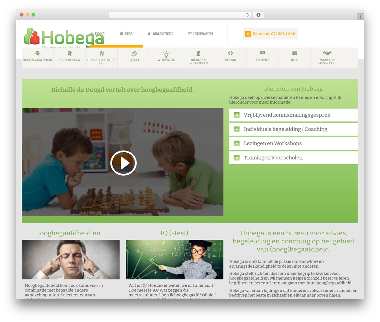 WordPress theme Divi - hobega.nl