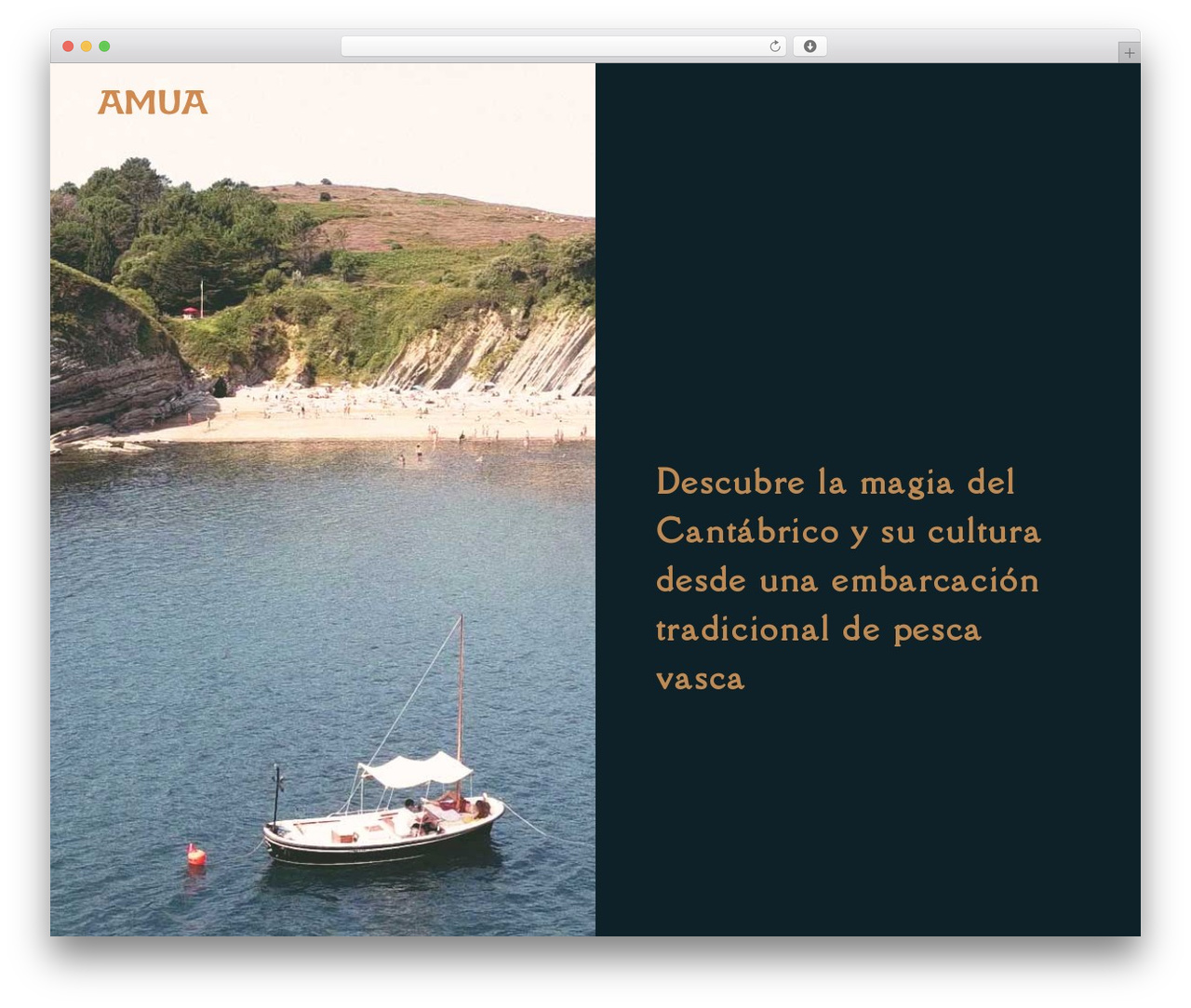 Amartha WordPress theme design - amuaboat.com