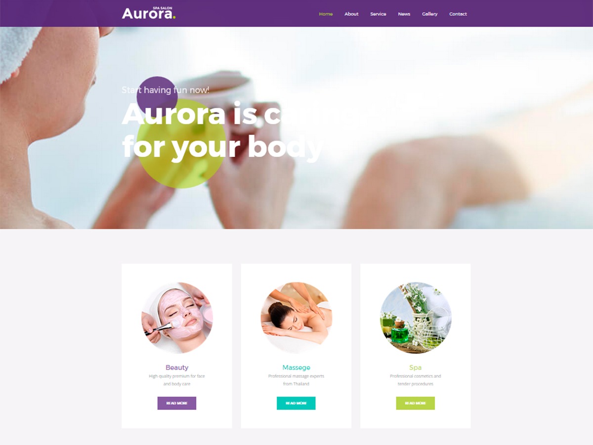Aurora Theme WordPress theme by annabalashova