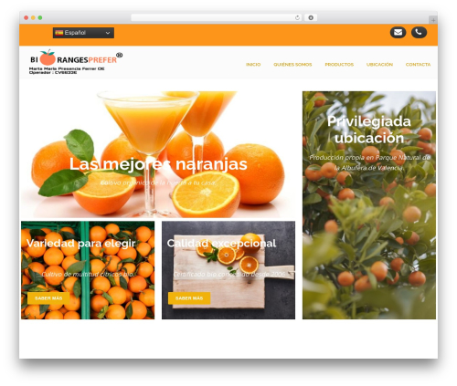 U design core WordPress plugin - biorangesprefer.com