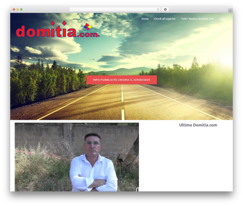 WordPress theme Bizworx - domitiacom.com