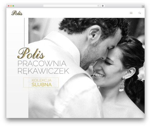 WordPress theme Polis - polis-dm.pl
