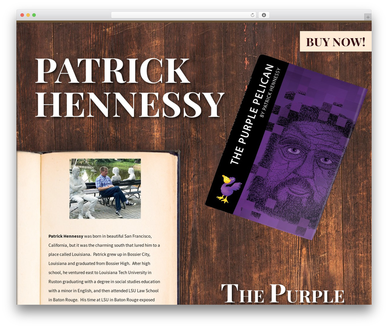 WordPress theme PresenceBuilders Theme2 - patrickhennessyauthor.com