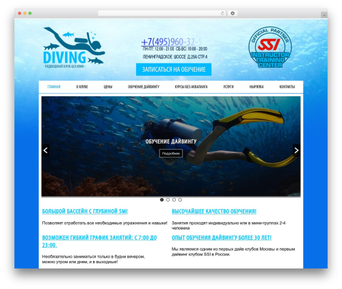PE Recent Posts (pe-recent-posts) free WordPress plugin - divevmf.ru PE Recent Posts (pe-recent-posts) free WordPress plugin - divevmf.ru