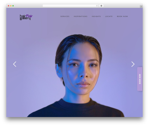 FREE Screen Responsive WordPress Theme WordPress theme image - hairflairgallery.com