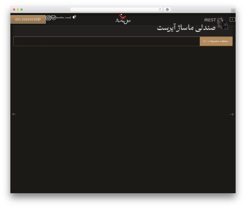 Wp story premium WordPress plugin - www.moblemassage.com