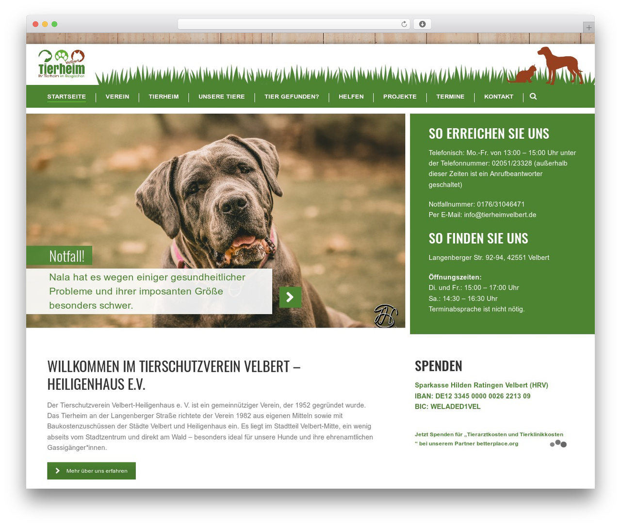 jupiter theme WordPress - tierheimvelbert.de jupiter theme WordPress - tierheimvelbert.de