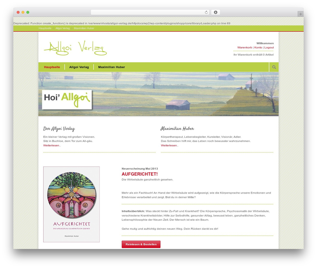 Modernize theme WordPress - allgoi-verlag.de