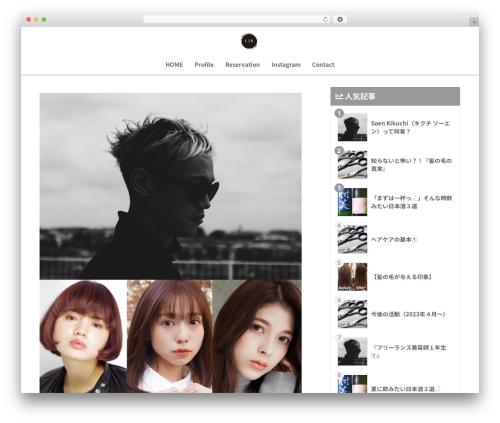 Sango theme gutenberg WordPress plugin - soenkikuchi.com