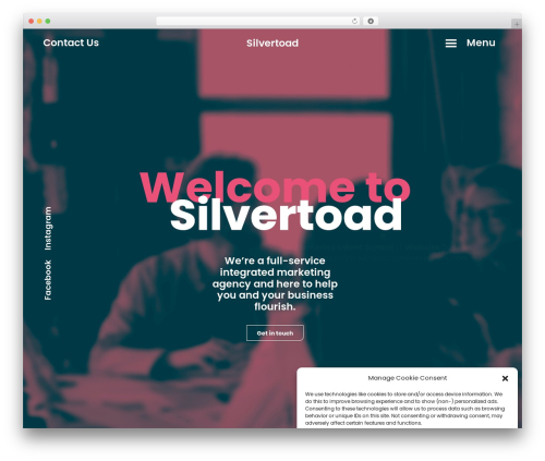 All in one addons for wpbakery WordPress plugin - silvertoad.co.uk