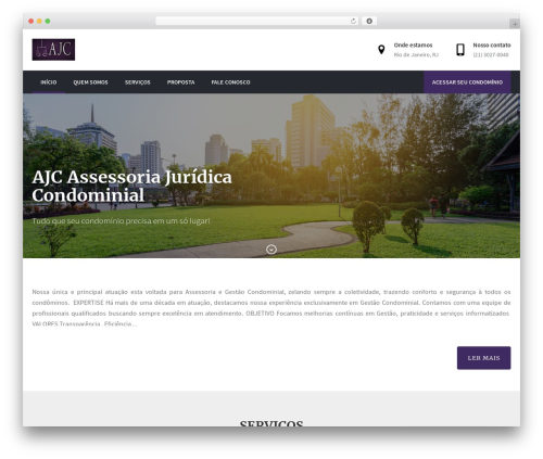 Gi options WordPress plugin - ajcassessoria.com
