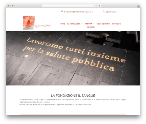 Divi video gallery WordPress plugin - fondazioneilsangue.com