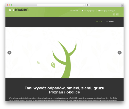 WordPress theme Ecorecycle - Multipurpose Wordpress Theme - city-recykling.pl