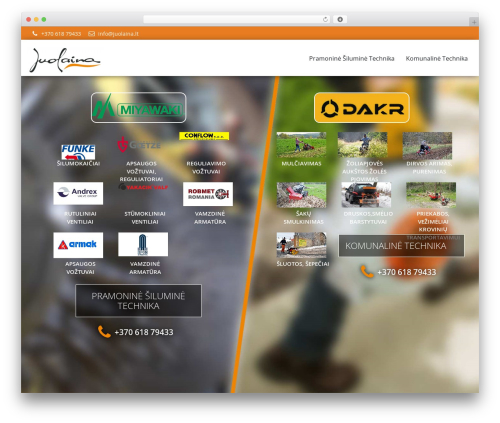 WordPress theme EIC standartinė tema - juolaina.lt