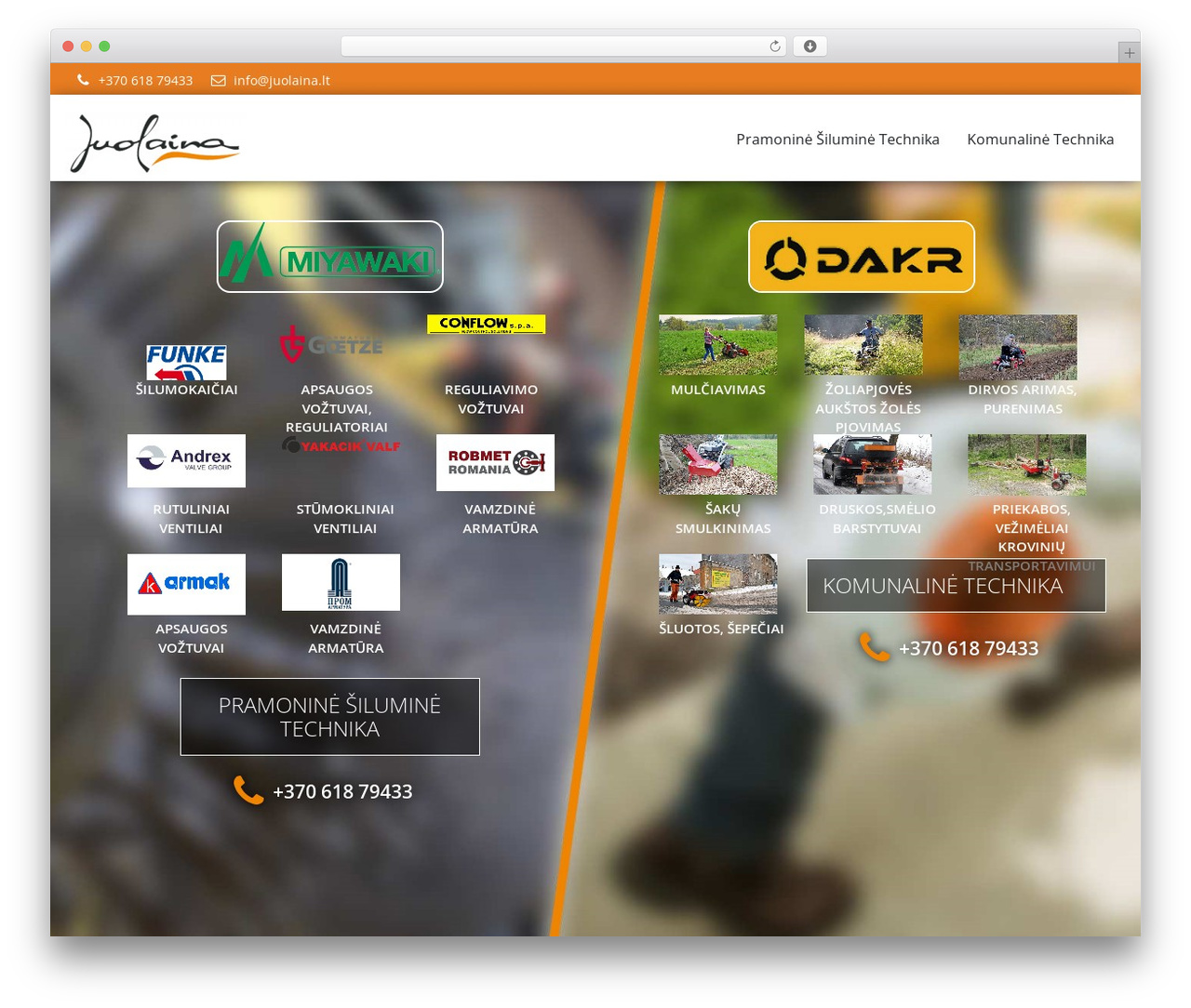 WordPress theme EIC standartinė tema - juolaina.lt