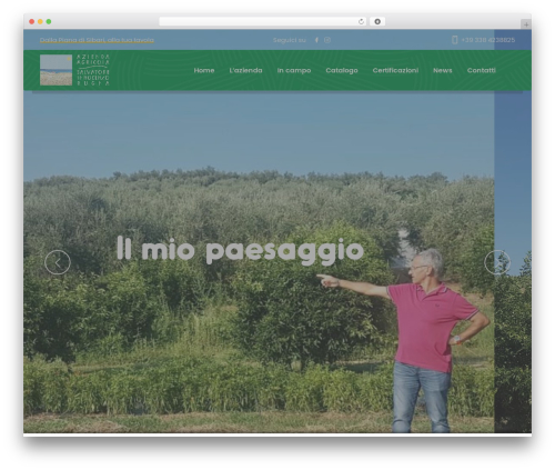WordPress theme Seodo - salvatoreinnocenzorugna.com