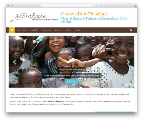 6temflex theme WordPress - associationmosaique.org
