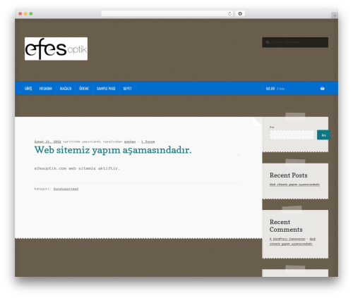 Payment_paynet WordPress plugin - efesoptik.net
