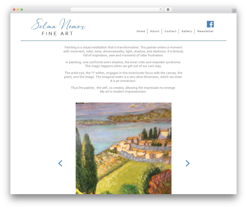 Divi WordPress theme - selmanemerfineart.com
