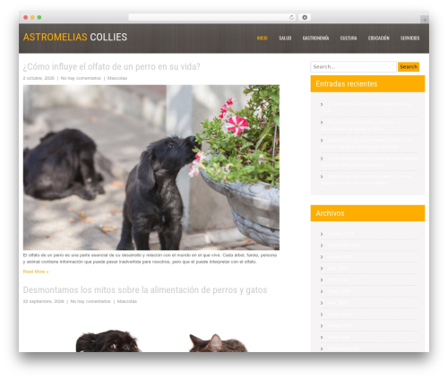 Interior Lite free WP theme - astromelias-collies.es
