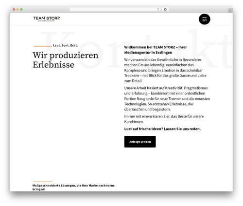 WordPress theme holmes - storz.de
