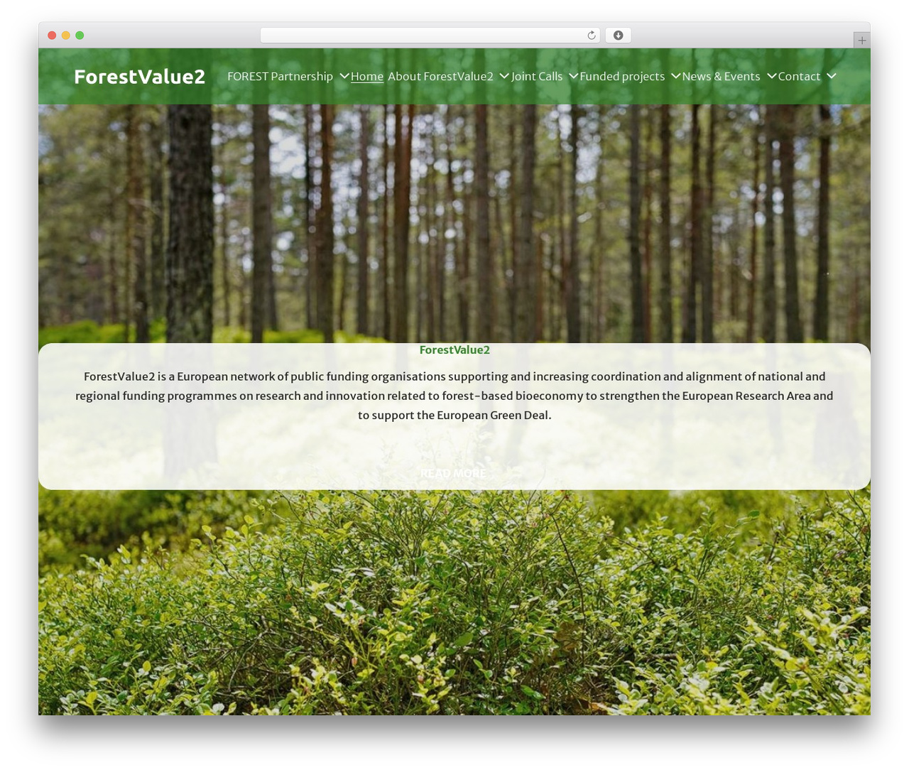 ForestValue WordPress theme - forestvalue.org