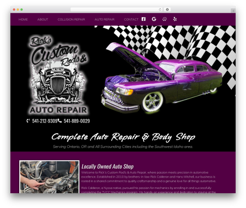 Wpwdyplugin WordPress plugin - rickscustomrodsandautorepair.com