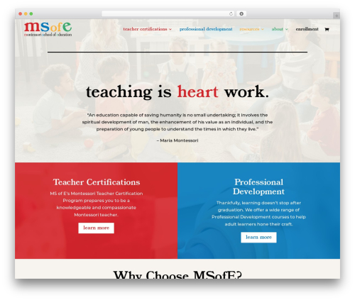 Ds gravity forms for divi WordPress plugin - msofe.com
