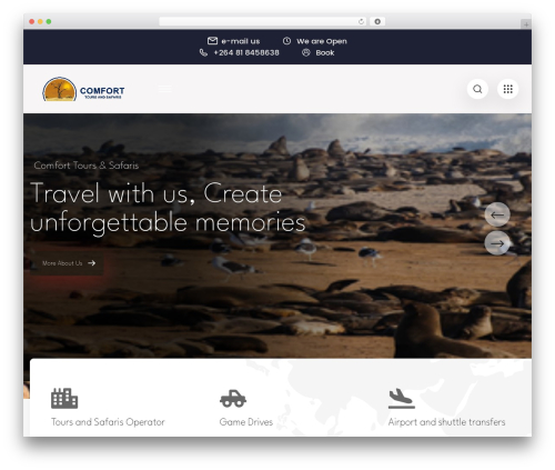 WordPress theme Immidox - ctoursandsafaris.com
