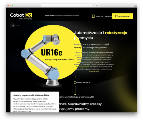 WordPress website theme Website Style - cobotex.pl
