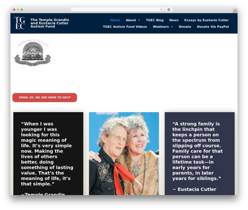 Bearsthemes addons WordPress plugin - tgecautismfund.org